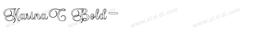 KarinaC Bold字体转换